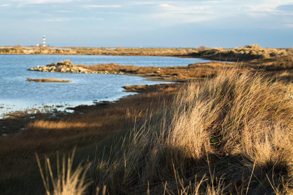 Plage de Piemanson en Camargue