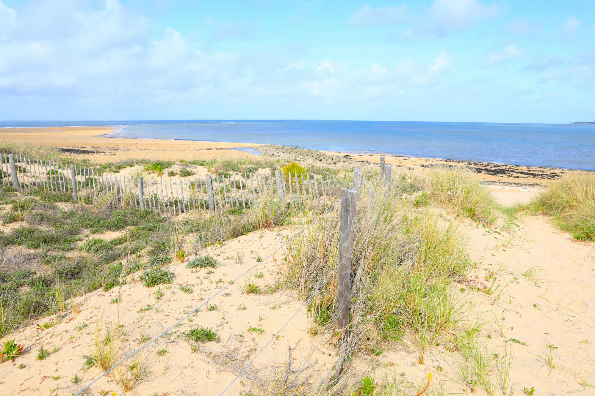 Les 10 meilleures activités à faire en famille sur l'Île de Ré
