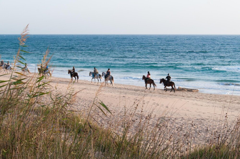 Promenade à cheval plage Île de Ré
