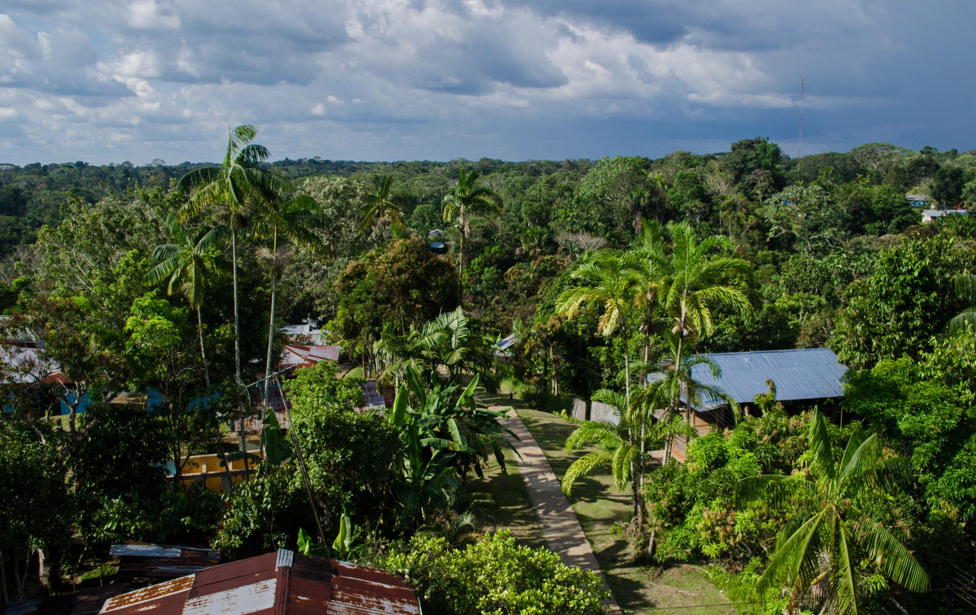 Puerto Nariño en Amazonie en Amérique du Sud