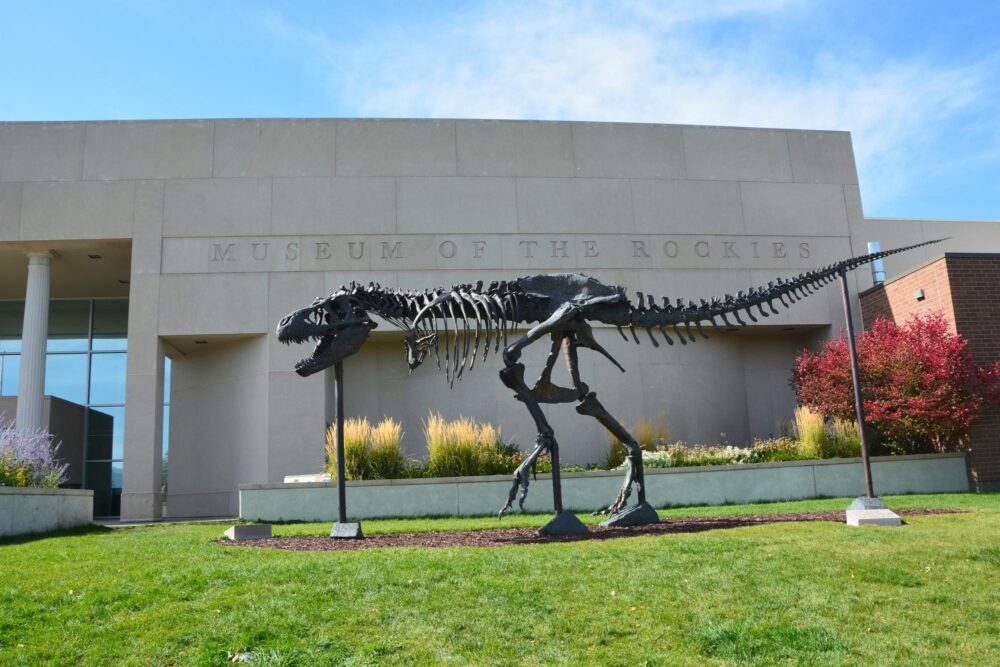 Que faire dans le Montana ? Museum of the Rockies sur le Montana Dinosaur Trail