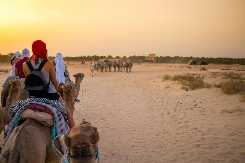 Randonnée à dos de dromadaire dans le désert, Tunisie