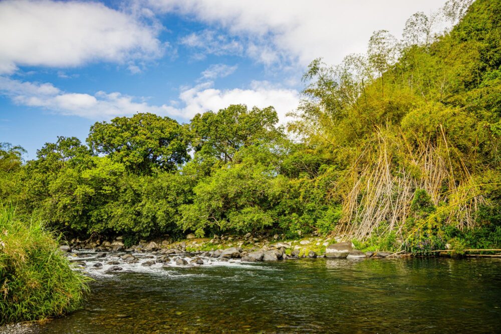 Rivière des Marsouins à La Réunion