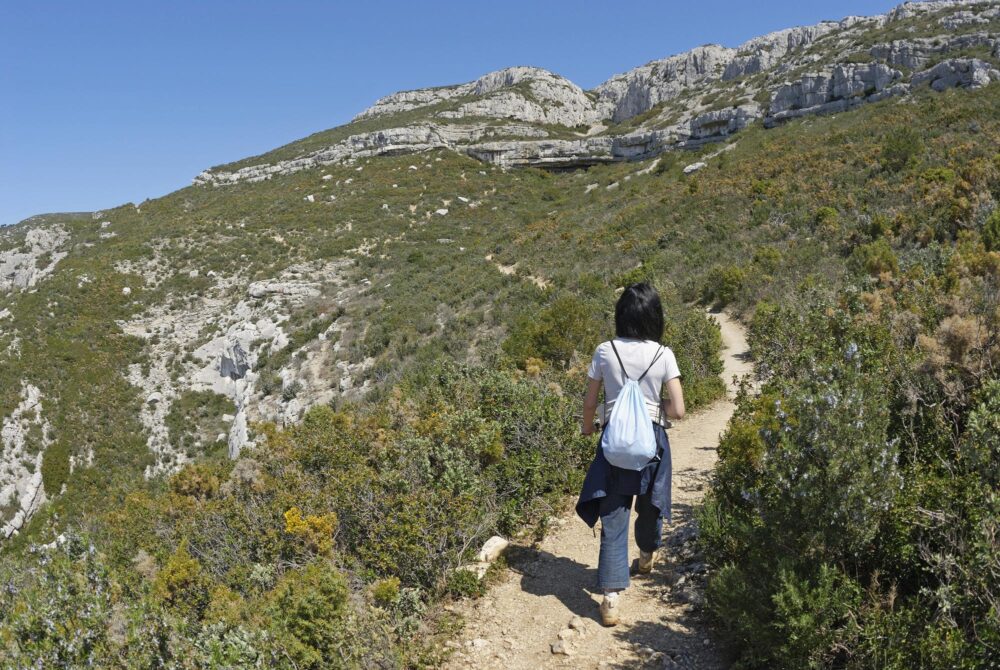 Sainte-Baume en Provence, France