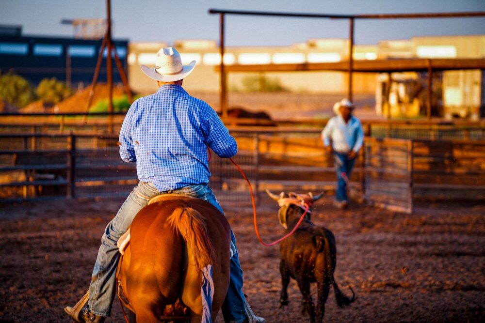 Séjourner dans un ranch en Arizona, États-Unis