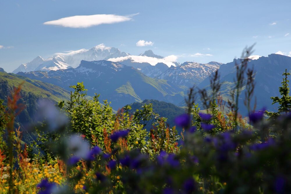 Sentier de randonnée avec vue sur le mont Blanc
