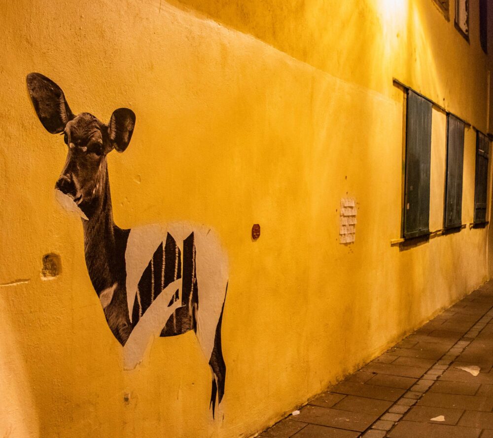 Street art sur les murs de Strasbourg