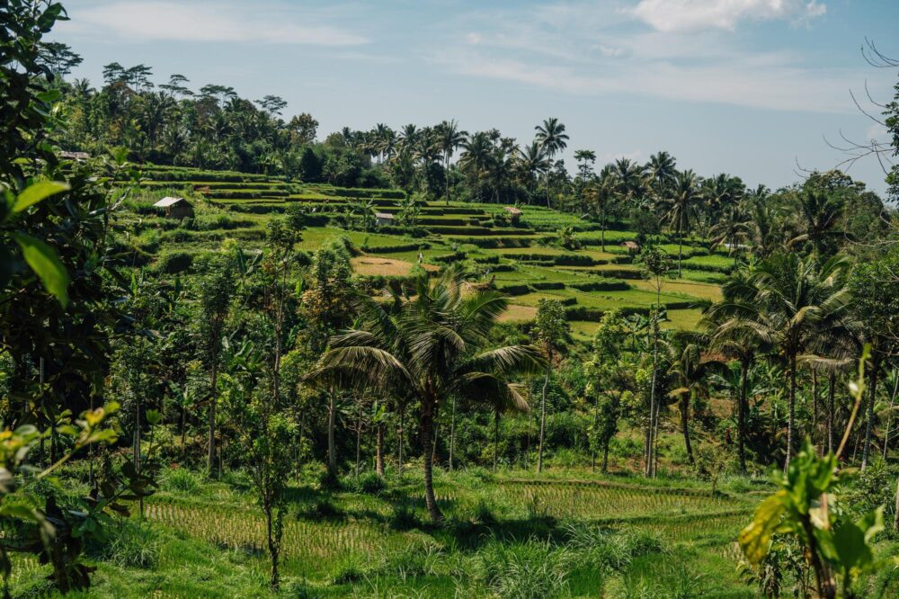 Tetebatu à Lombok, Indonésie