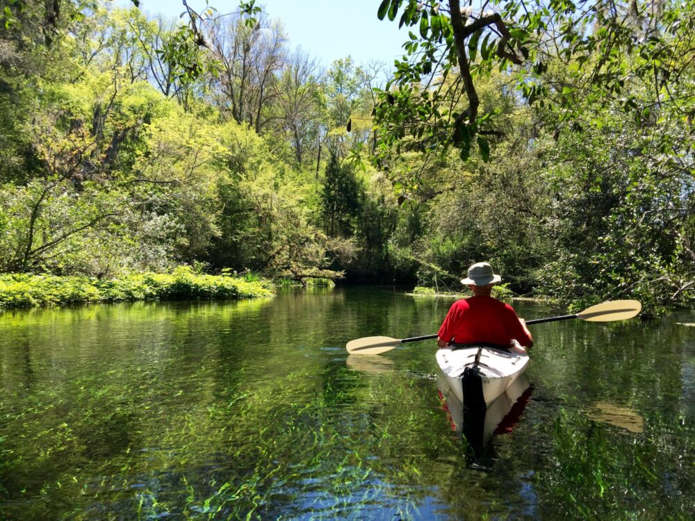 Une balade en kayak sur la rivière Econlockhatchee en Floride