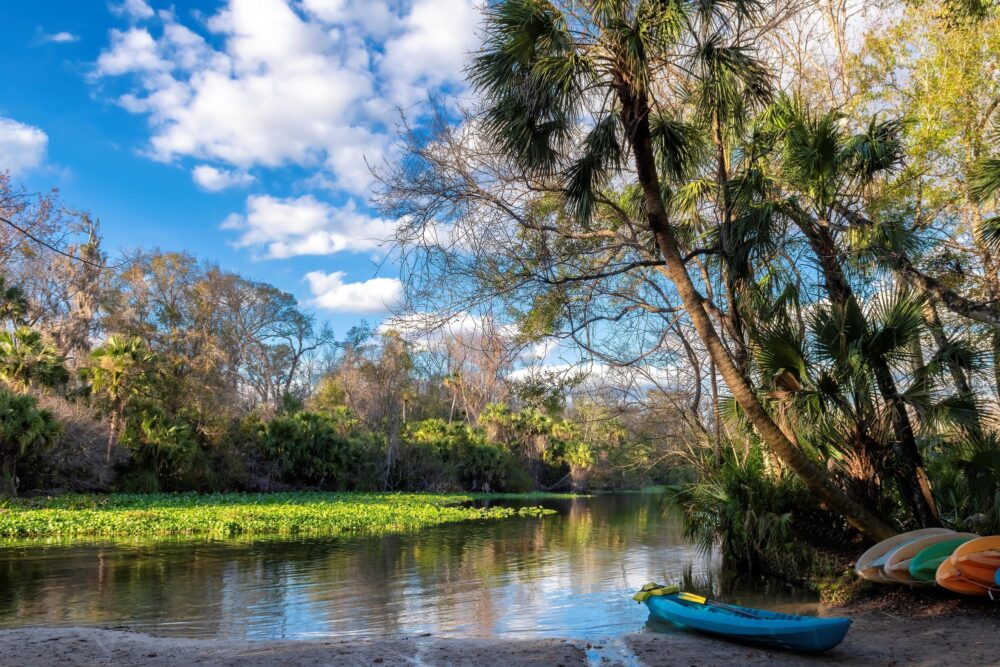 Une excursion paisible à Wekiwa Springs State Park près d'Orlando
