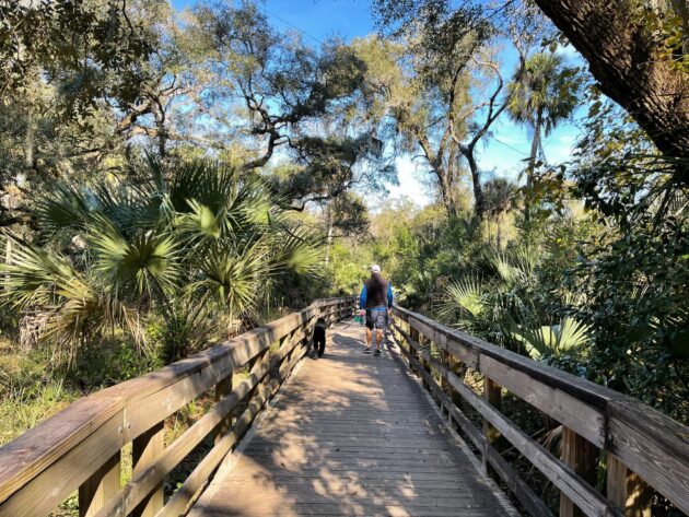 Une randonnée sur planches en bois près d'Orlando