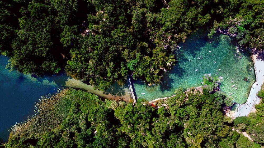 Une vue aérienne de Wekiwa Springs State Park, proche d'Orlando