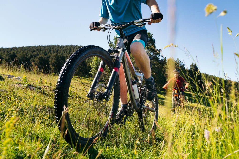 VTT