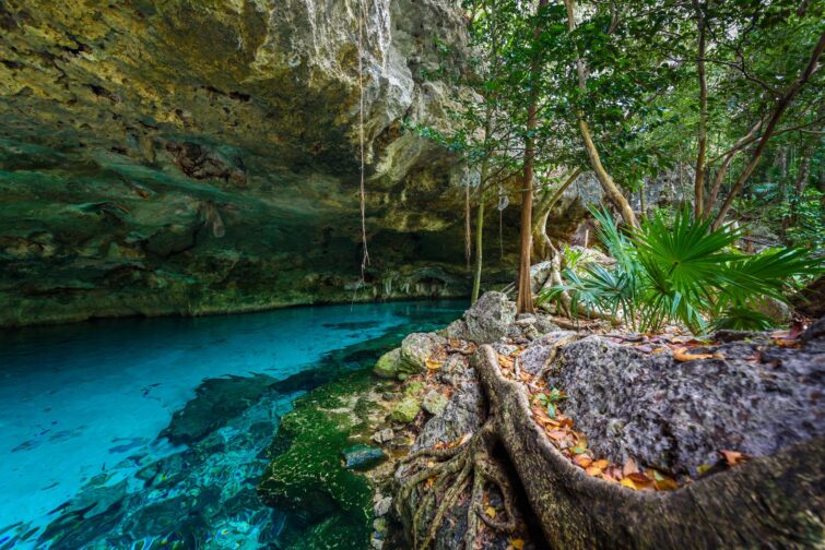 Visiter le Cenote Dos Ojos à Tulum