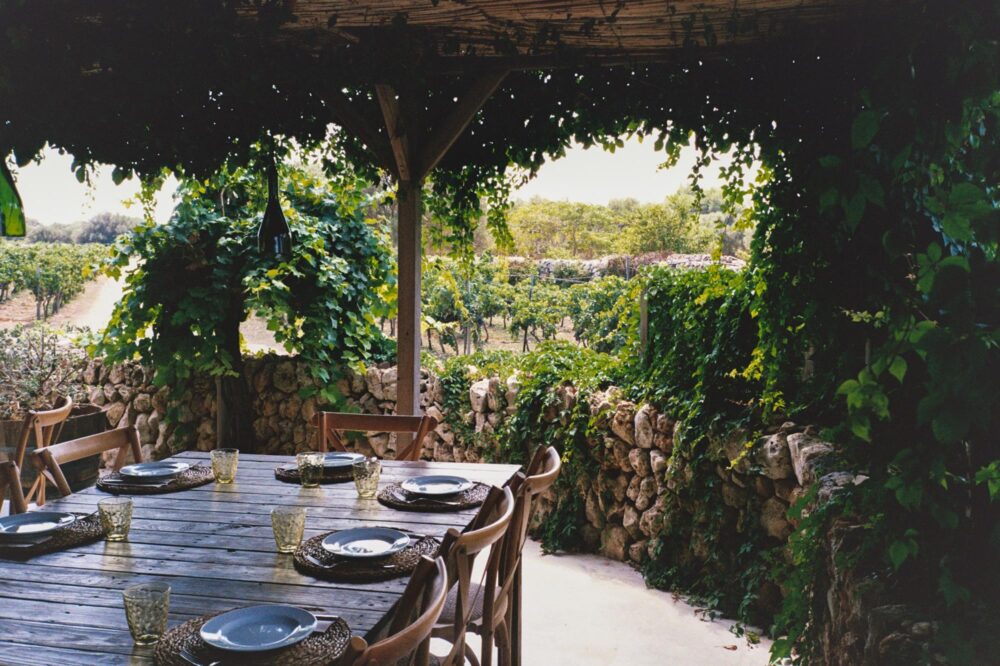 Visiter les vignobles de Minorque