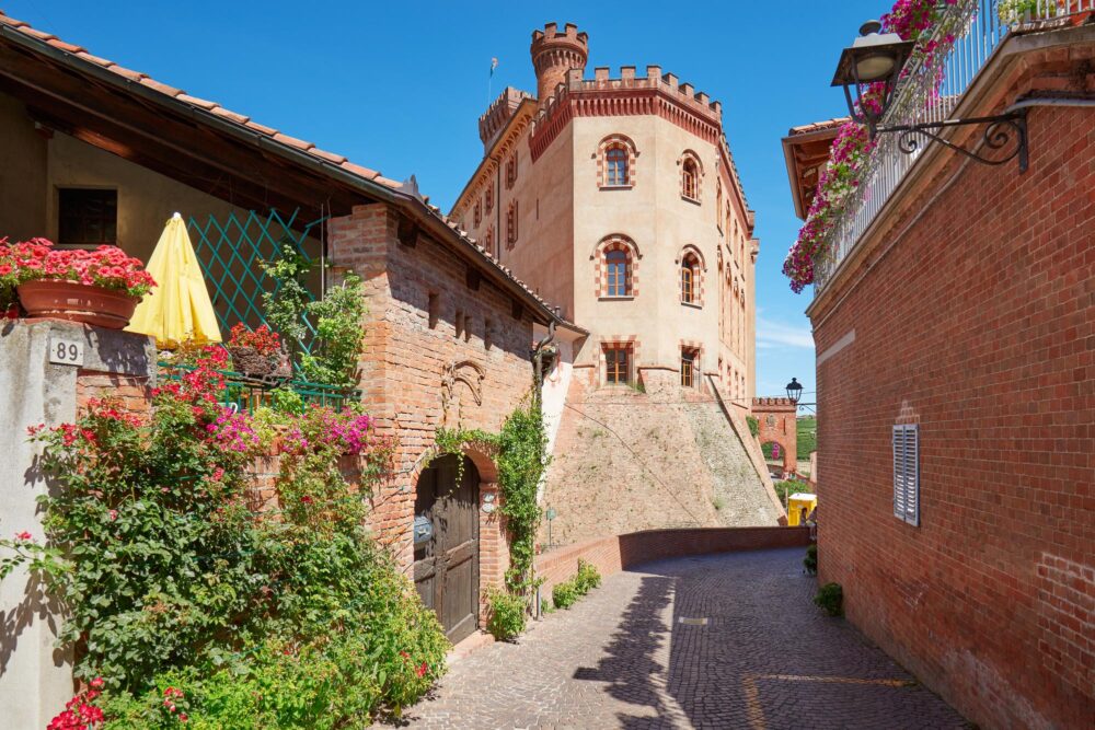 Vue sur le Château de Barolo