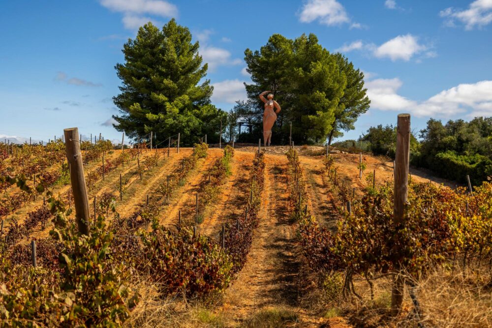 vignobles de l’Algarve