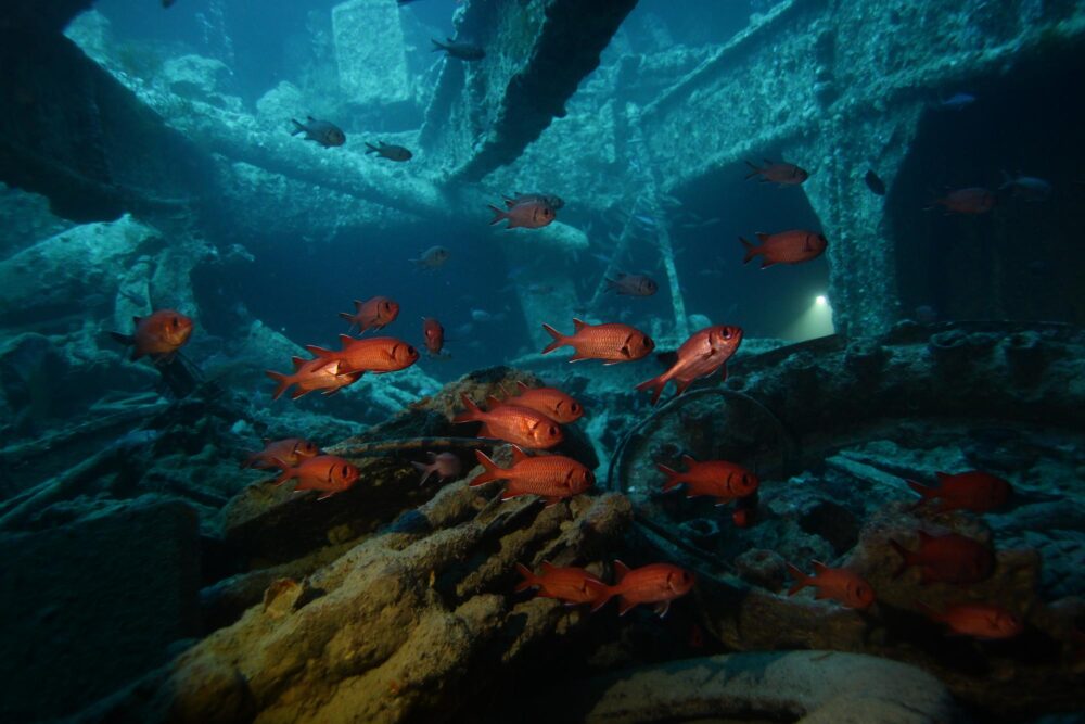 A l'intérieur de l'épave du SS Thistlegorm