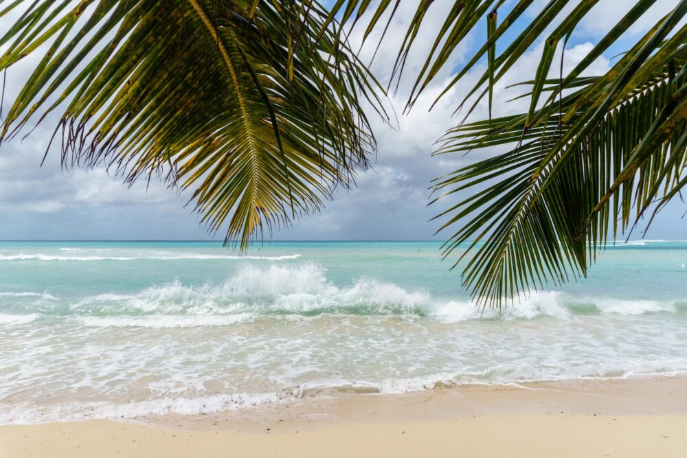 Anse du Souffleur, Port-Louis