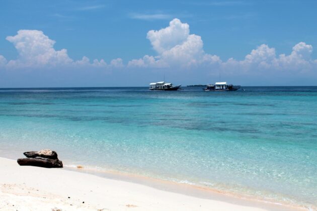 Apo Reef Natural Park
