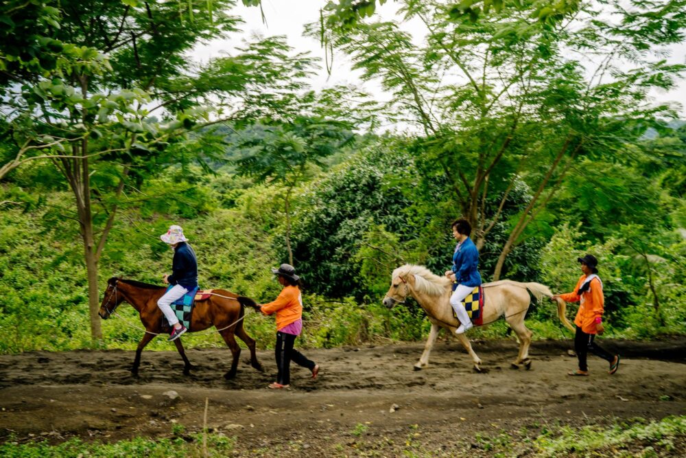Balade à cheval au volcan Taal, Philippines