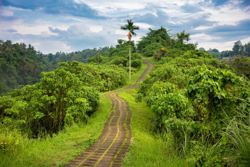 Campuhan ridge walk à Ubud, Bali, Indonésie