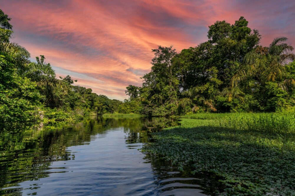 Canal dans le parc de Tortuguero