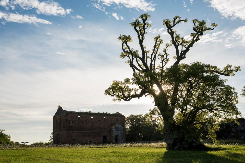 Carmelo, Uruguay