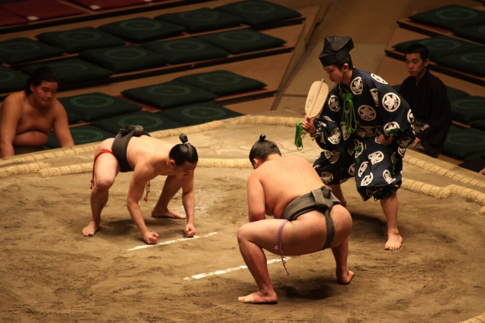 Combat de sumo