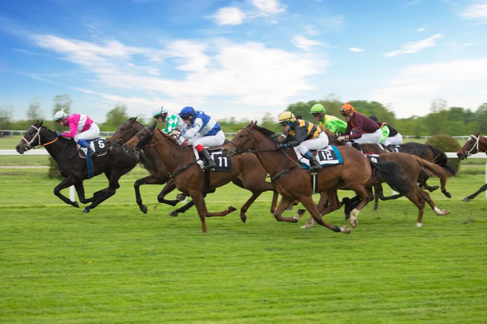 Course de chevaux