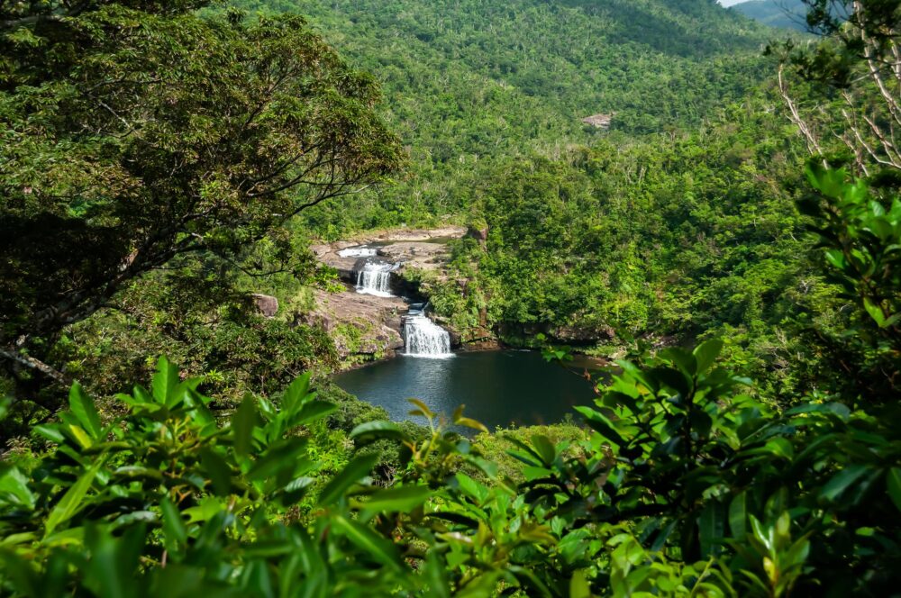 De jolies cascades dans la forêt de l'île d'Iriomote