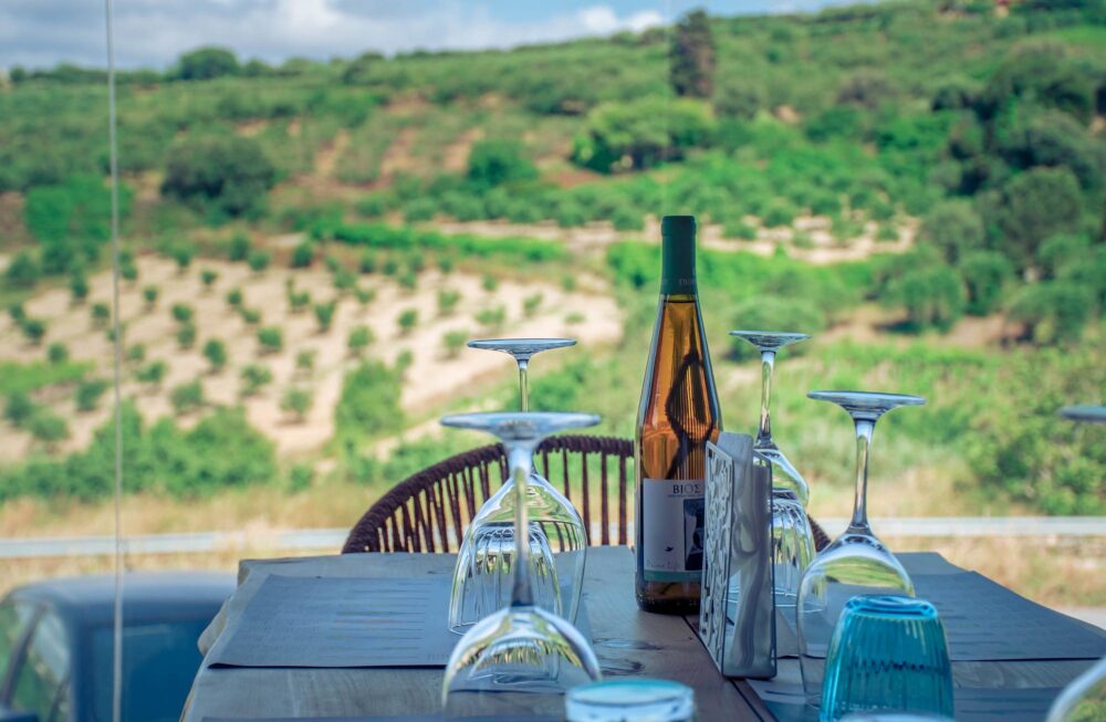 Dégustation de vin dans un restaurant d'un vignoble à Héraklion en Crète, entouré de champs de vineries.