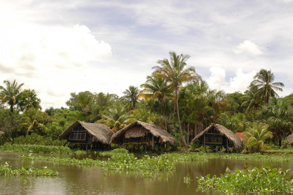 Des huttes traditionnelles de Warao sur les rives du delta de l'Orinoco au Venezuela