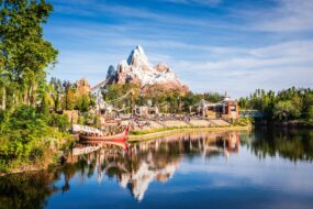 Disney’s Animal Kingdom, Orlando