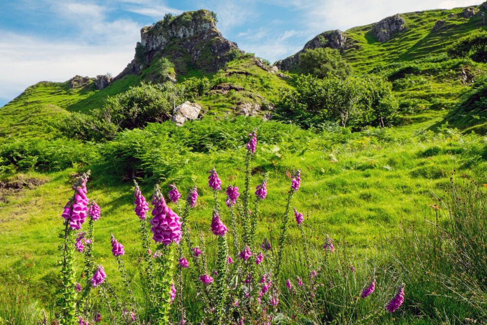 Fairy Glen, Écosse