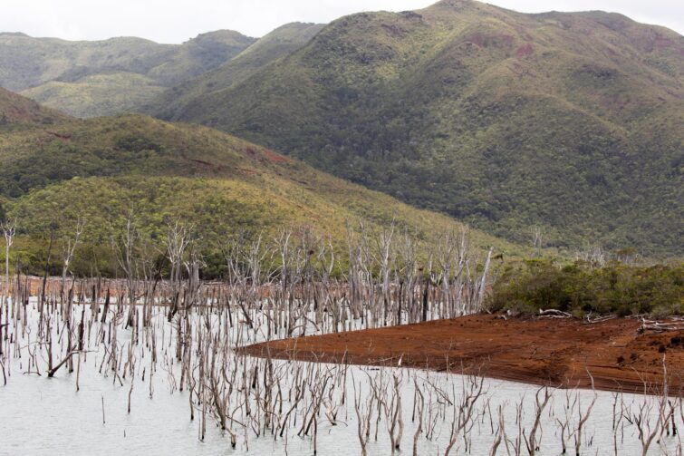 Forêt Noyée de Yaté, Nouvelle Calédonie