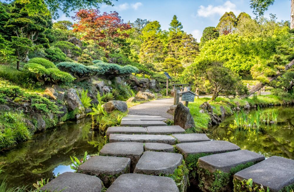 Golden Gate Park, San Francisco