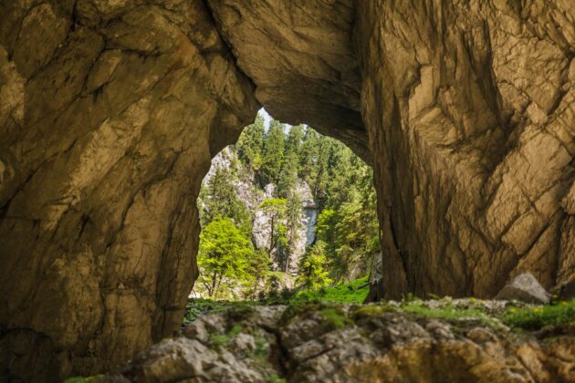 Grottes de Dâmbovicioara, Argeș, Roumanie
