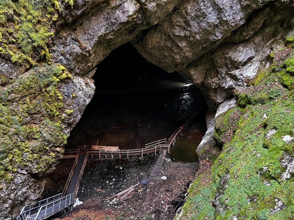 Grottes de Scărișoara 
