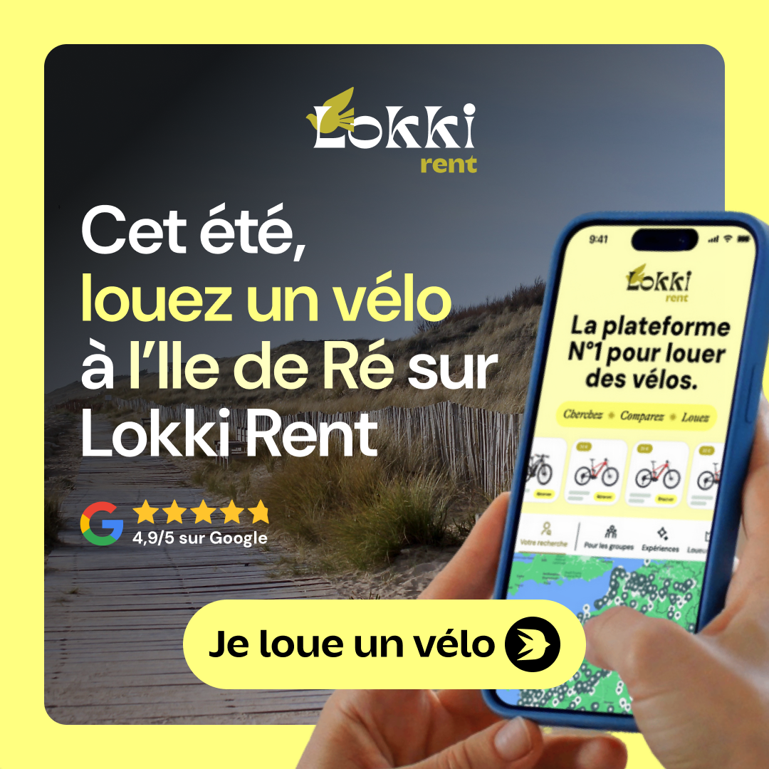 lokki