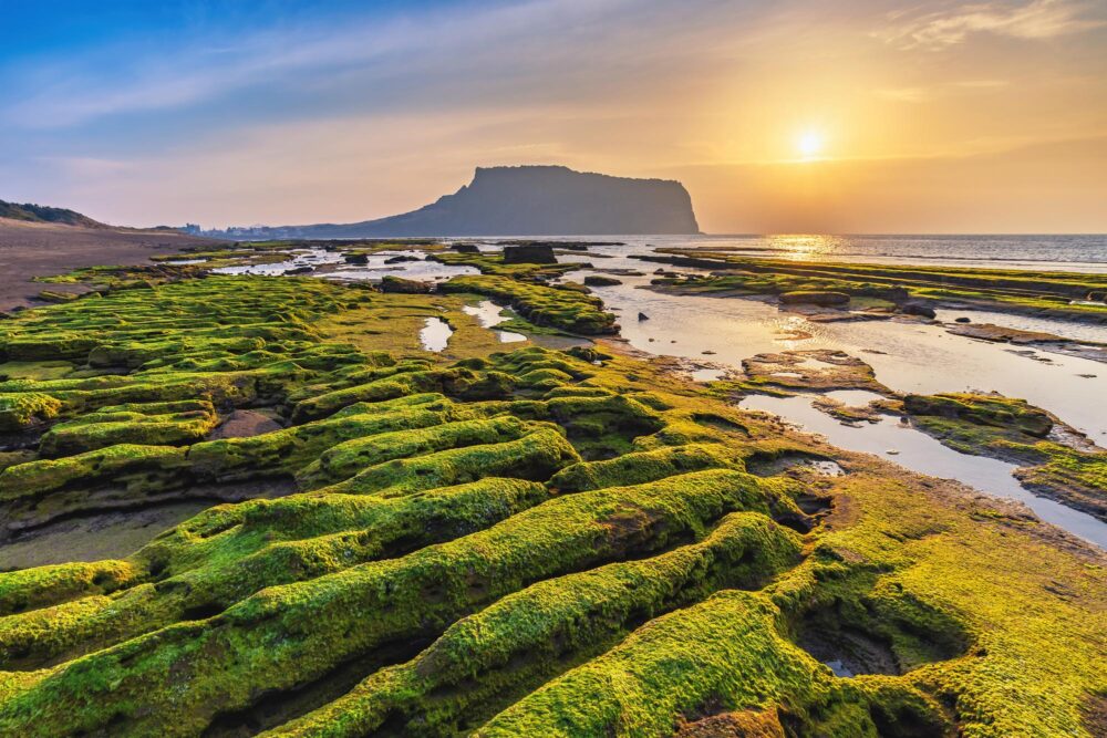 Île de Jeju en Corée du Sud