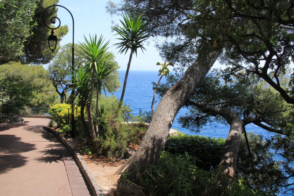 Jardins de Saint-Martin