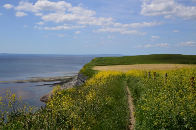 Kimmeridge Bay, Angleterre