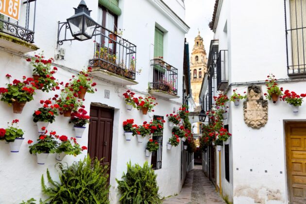 La Calleja de las Flores, Cordoue, Espagne