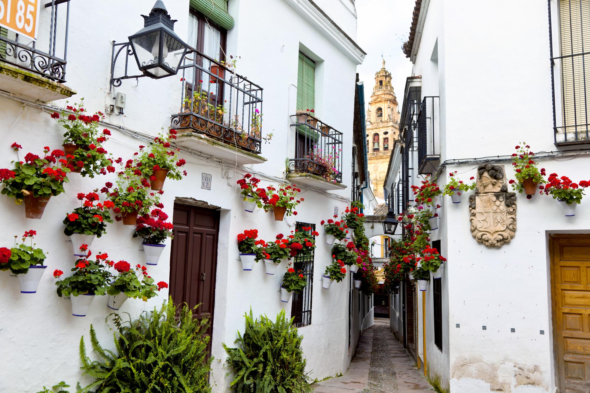 La Calleja de las Flores, Cordoue, Espagne