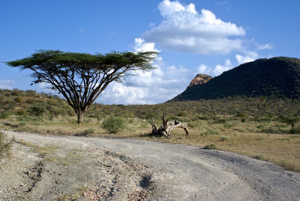 La Réserve nationale de Shaba, Kenya