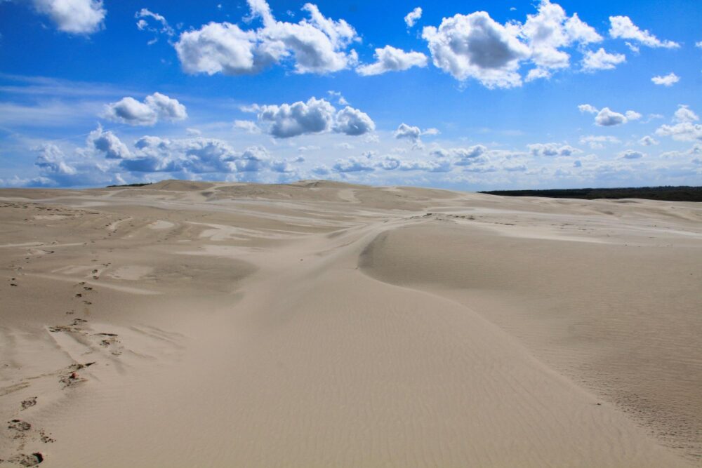 La dune de Råbjerg Mile