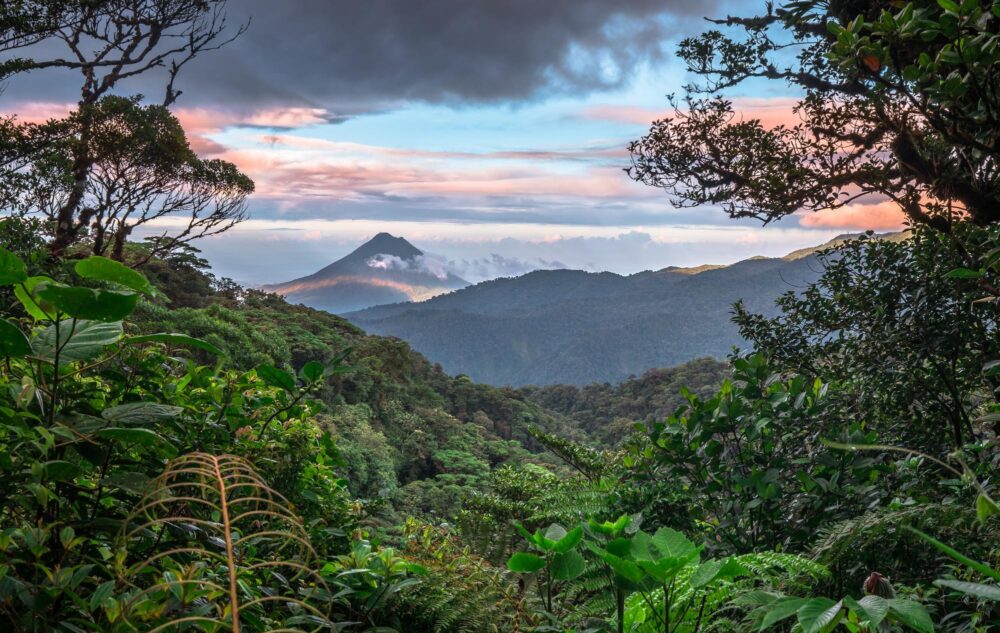 La forêt de Monteverde