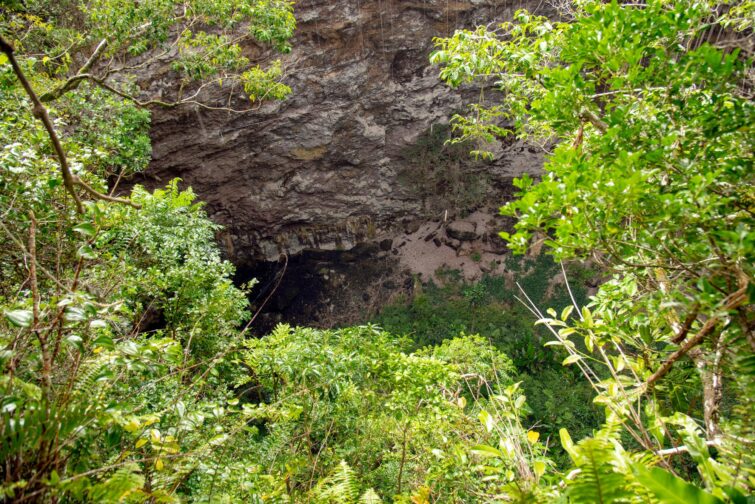 La grotte de la Reine Hortense, Nouvelle caledonie