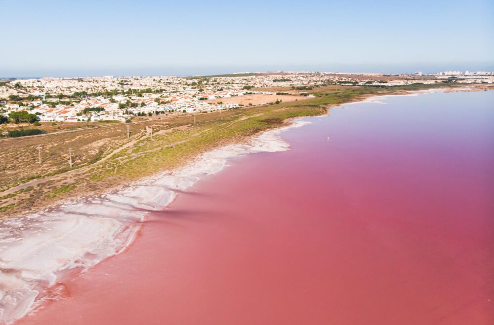 La laguna Rosa de Torrevieja en Espagne